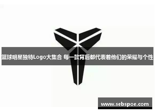 篮球明星独特Logo大集合 每一款背后都代表着他们的荣耀与个性